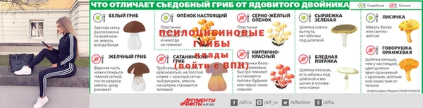 дживик Алексин