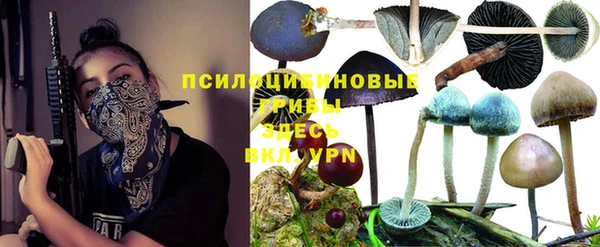 дживик Алексин