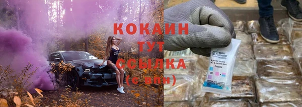 прущие грибы Михайлов
