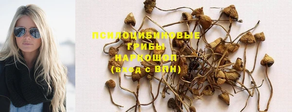 молекула духа Михайловск